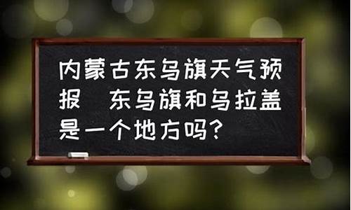 东乌旗天气预报未来15天查询_东乌旗天气预报未来15天查询结果