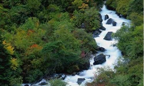 阿尔山天气预报10天_阿尔山天气预报10天查询