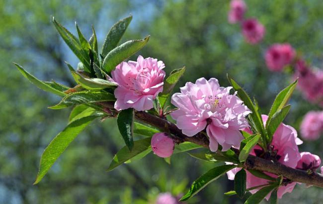 绥芬河市天气预报15天_绥芬河市天气预报15天查询